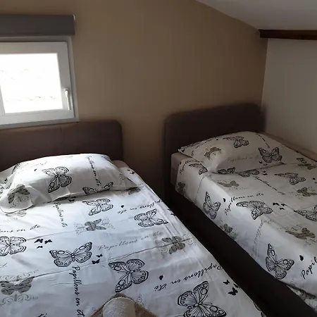 D&d Grubisic